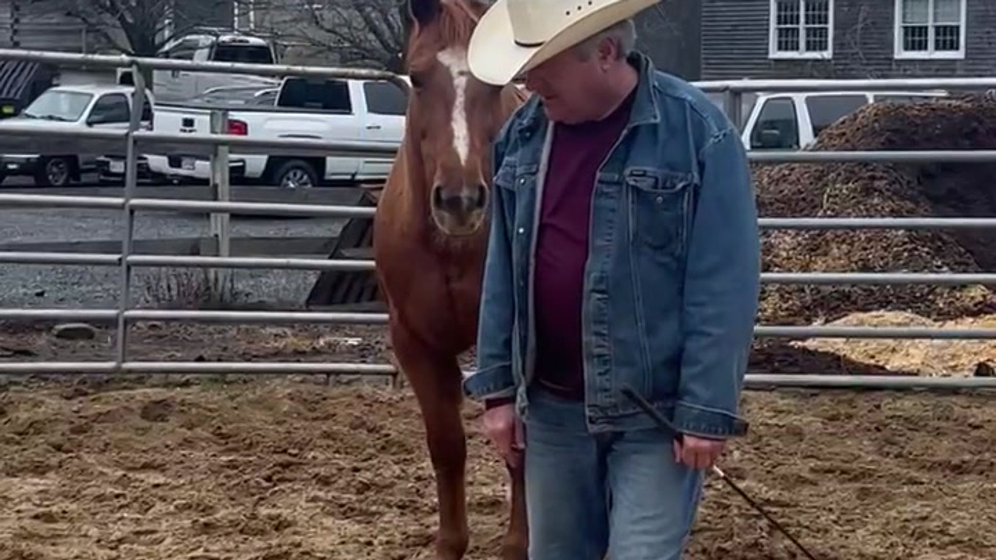 Creating a Draw in the Round Pen